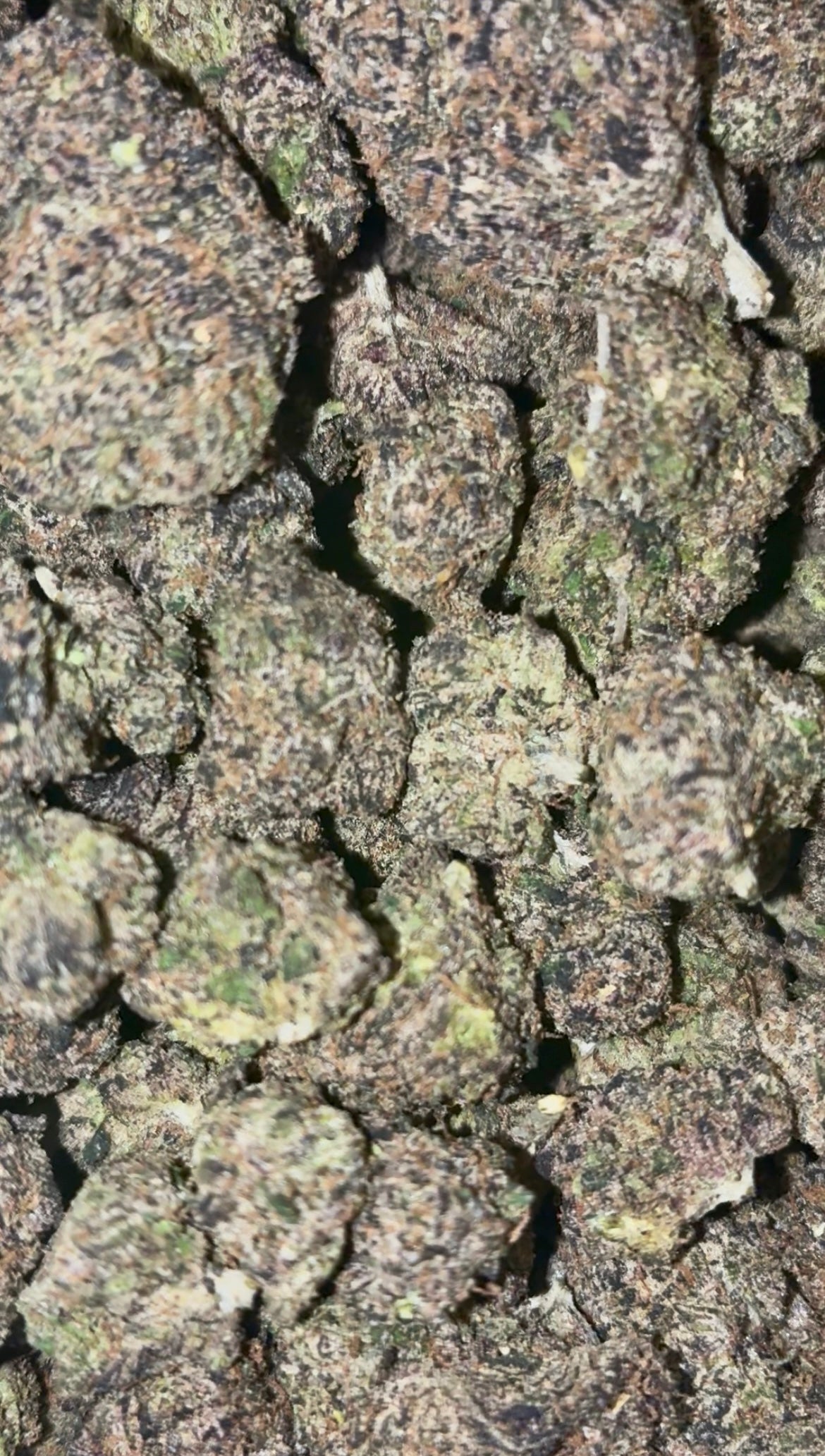 Gods Green Crakk 🍵 (Indica) (Mediums)