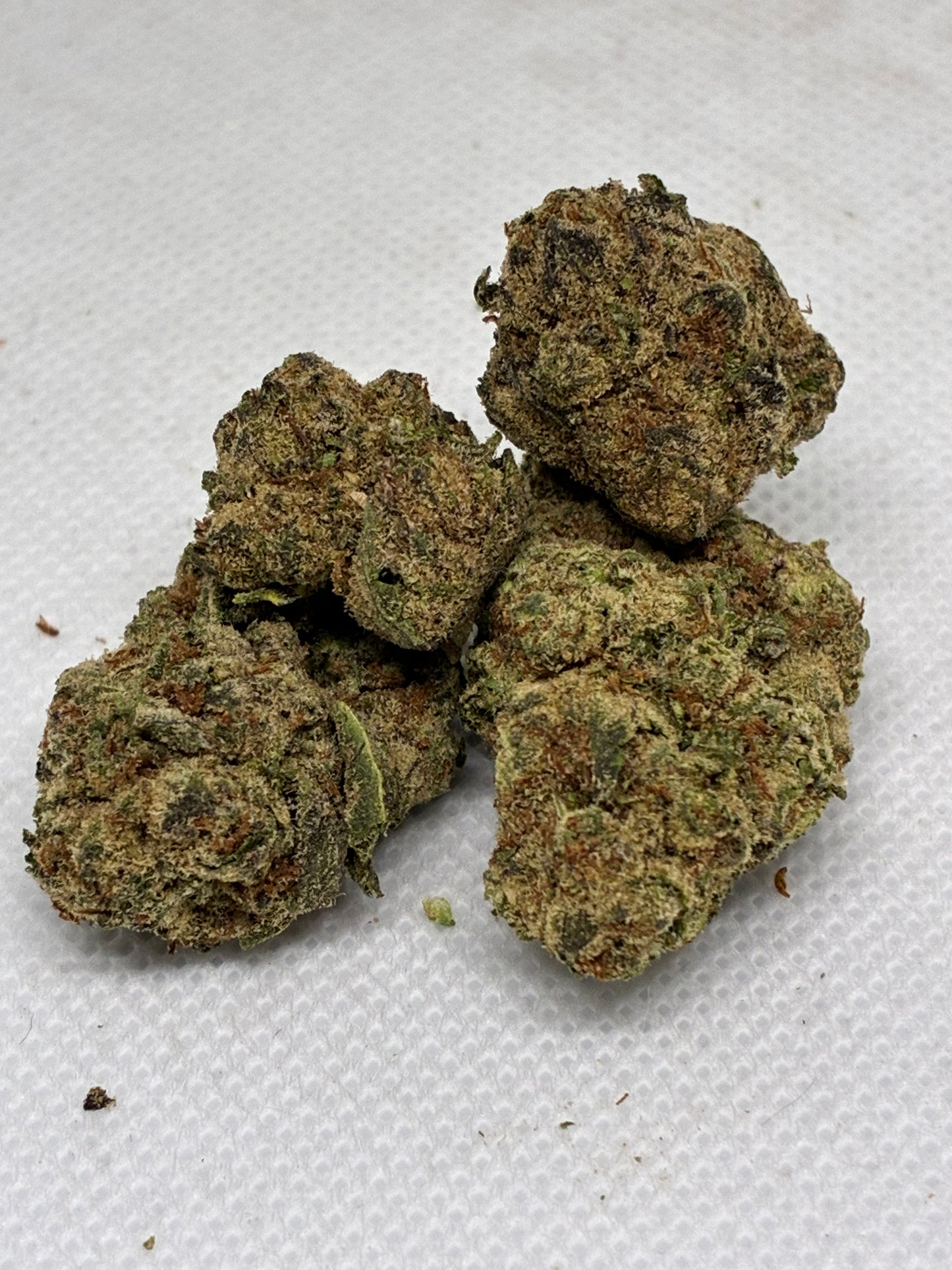 🍋🍒LCG- Runtz🍭🍨 (Hybrid)(full size)