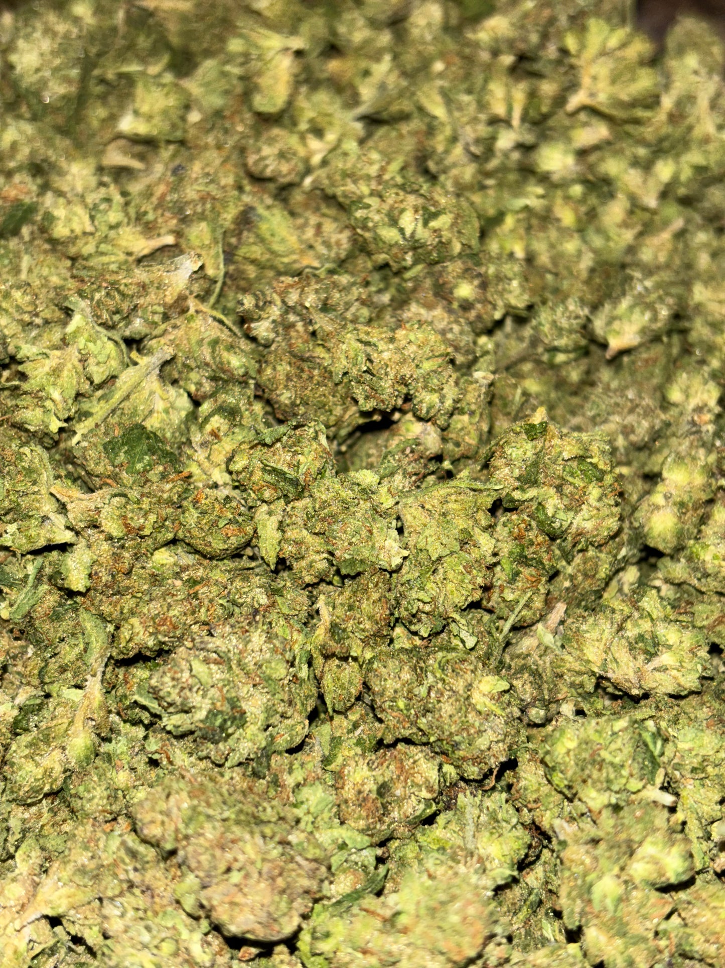 Venom OG 🐍🔥 (Minis) (Indica)