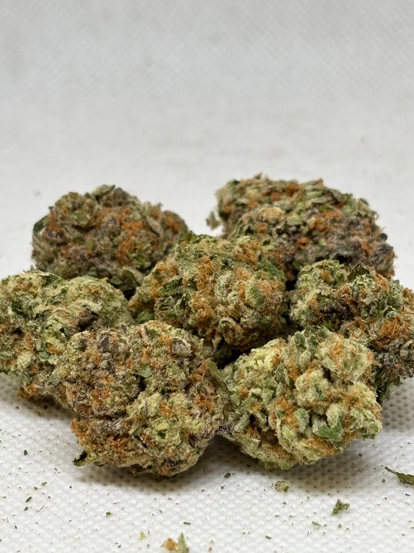 Blueberry Lemon Bars 🫐 🍋 (Hybrid) (full size)