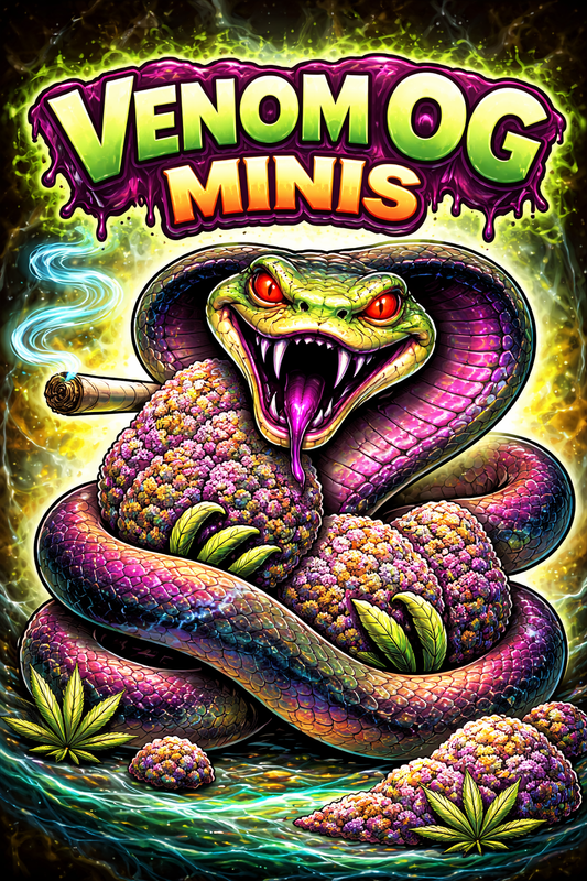 Venom OG 🐍🔥 (Minis) (Indica)