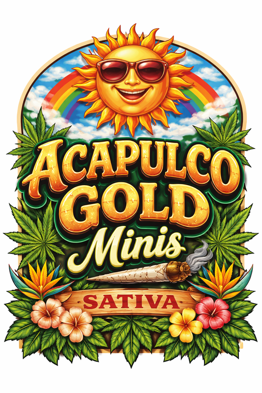 🌞 Acapulco Gold  (Minis) (Sativa)