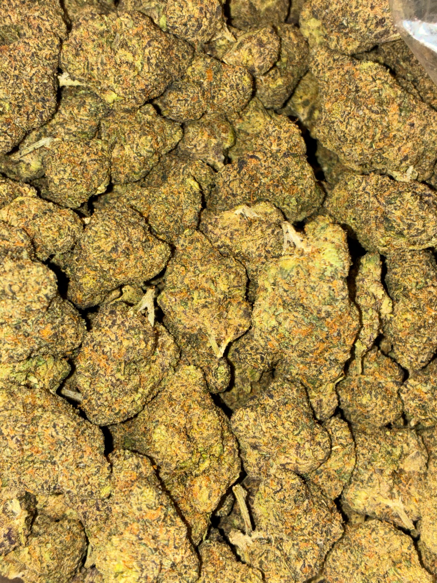 Grape Gas 🍇⛽️ (Indica) (full size)