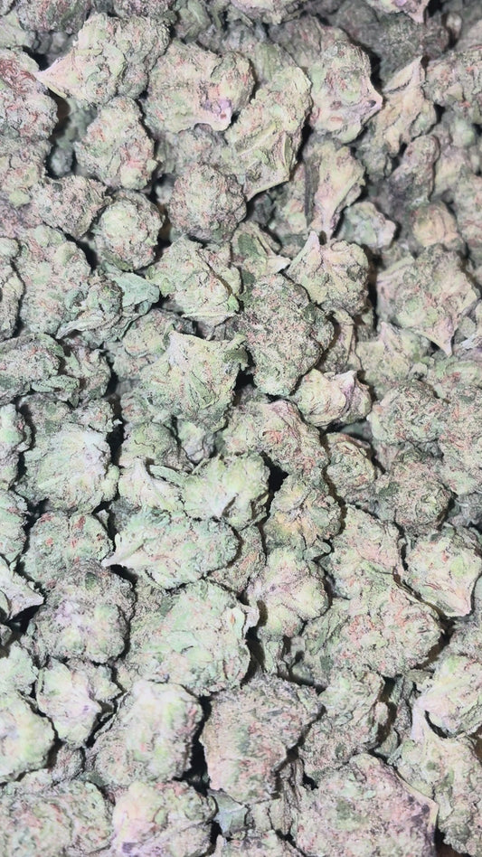 Gusher Mints 🍃 (Hybrid) (Flower)smalls