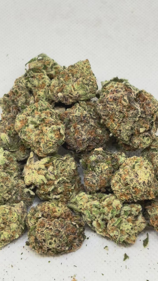 Blueberry Lemon Bars 🫐 🍋 (Hybrid) (full size)