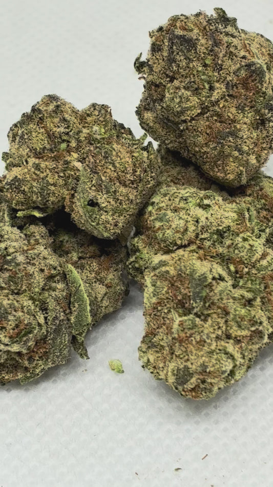🍋🍒LCG- Runtz🍭🍨  (Hybrid)(full size)
